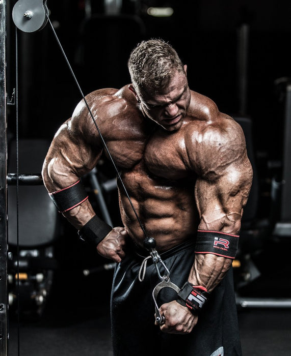 mini_sleeve_iron_rebel2