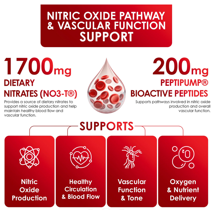 Infinis Nutrition Flow Peptide B10