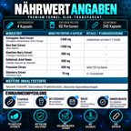 Supplementen voor nieren en bloeddruk